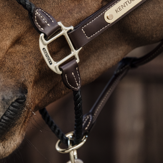 Rope Leather Halter