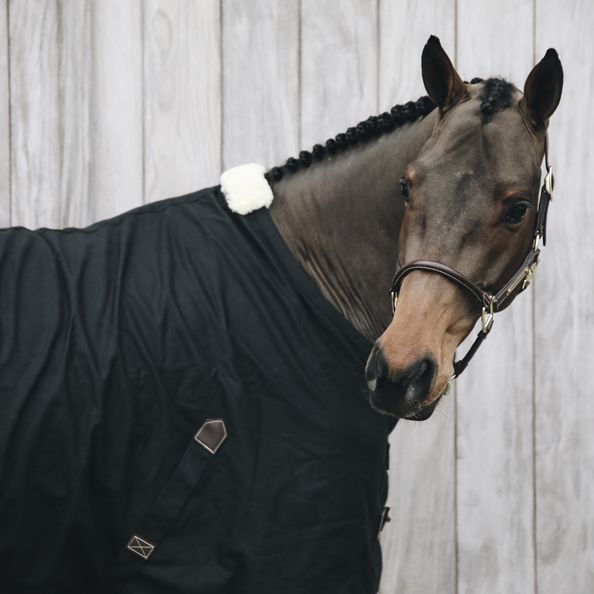 Cotton Sheet by Kentucky | Black