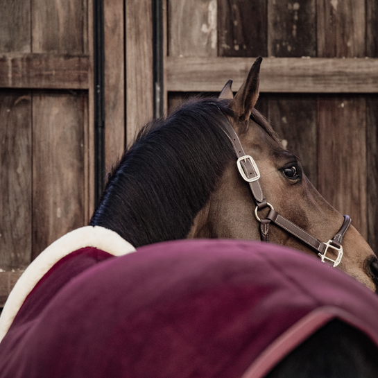 Fleece Show Rug Heavy | Bordeaux