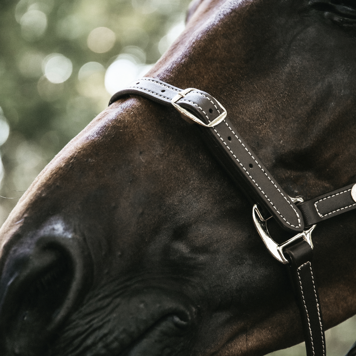 Flexible Leather Halter