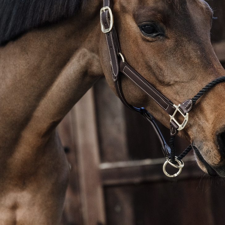 Rope Leather Halter