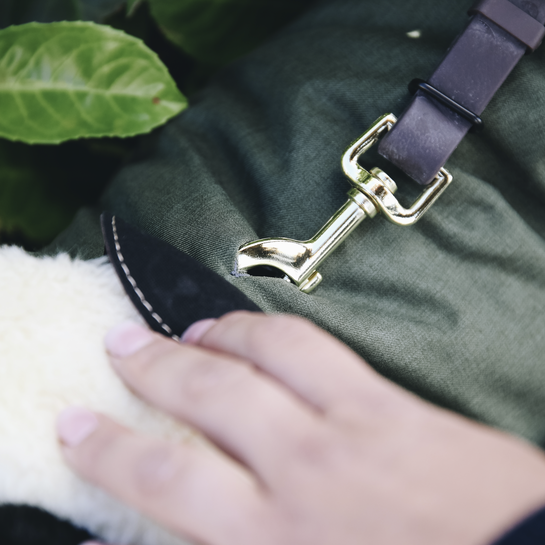 Dog Coat Waterproof 300g | Olive Green