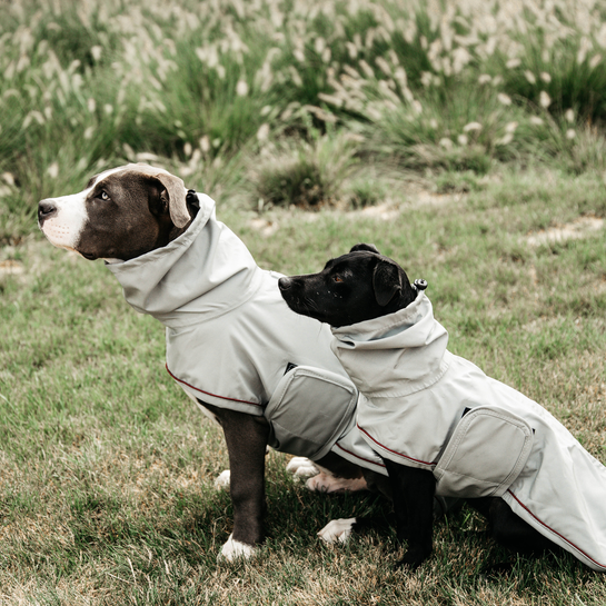 Dog Raincoat | Dusty Blue