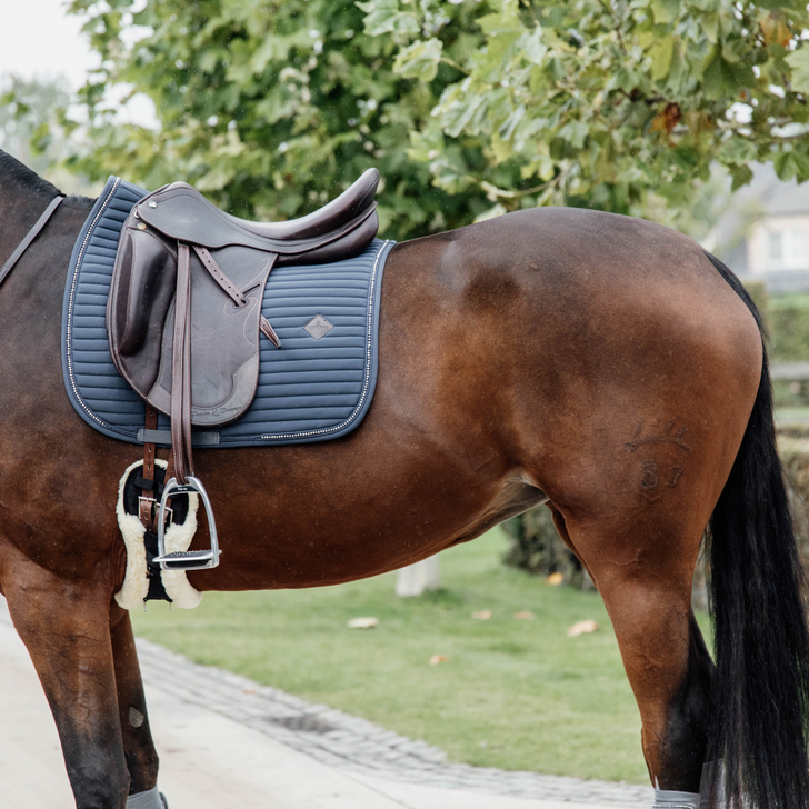 Pearls Dressage Saddle Pad | Navy