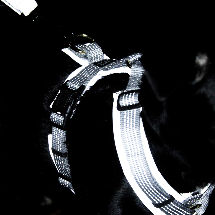 Harnais pour chien Active Reflective
