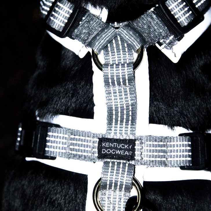 Harnais pour chien Active Reflective