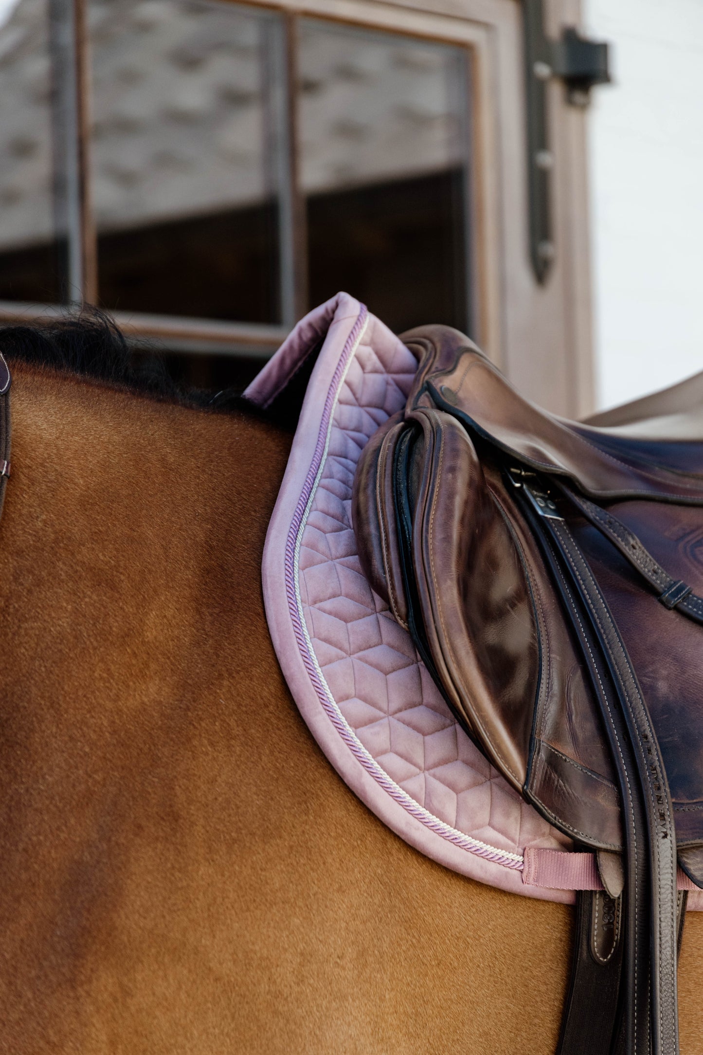 Velvet Jumping Saddle Pad | Old Rose