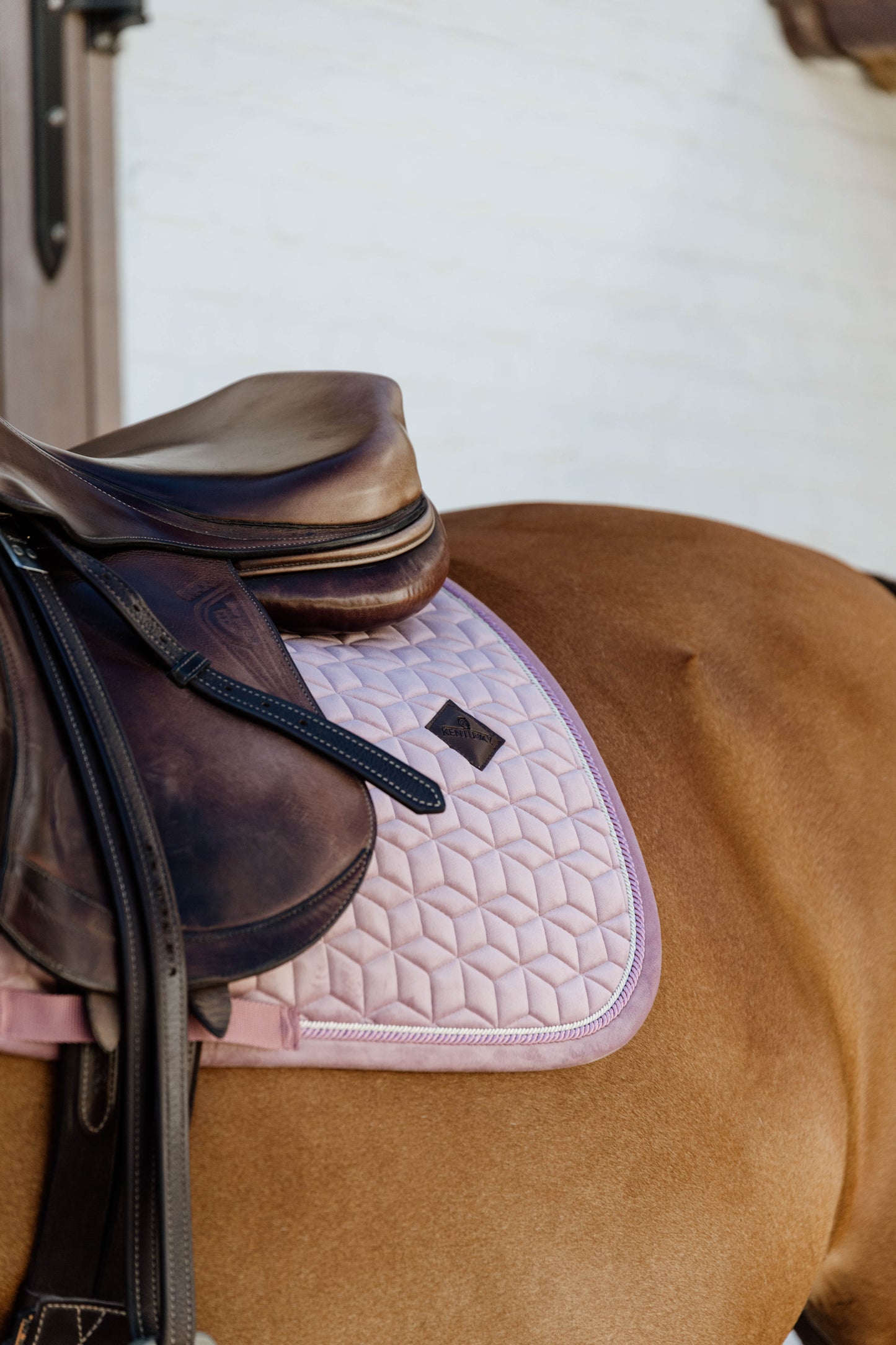 Velvet Jumping Saddle Pad | Old Rose