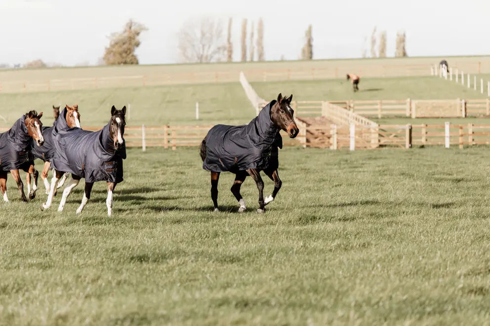 Turnout Rug All Weather Quick Dry Fleece With Neck