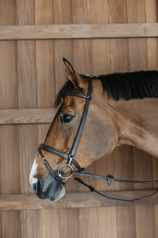 Training Bridle | WORKING BY DY'ON