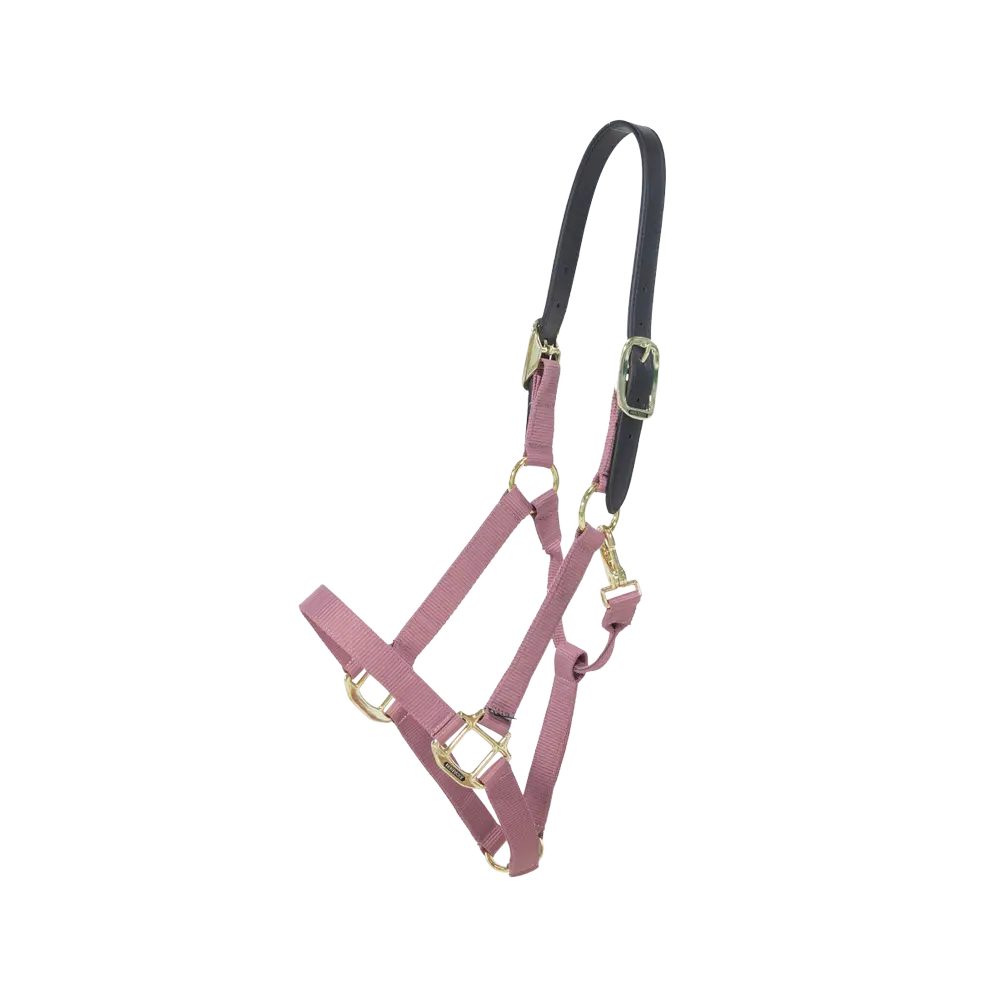 Nylon Halter Breakaway