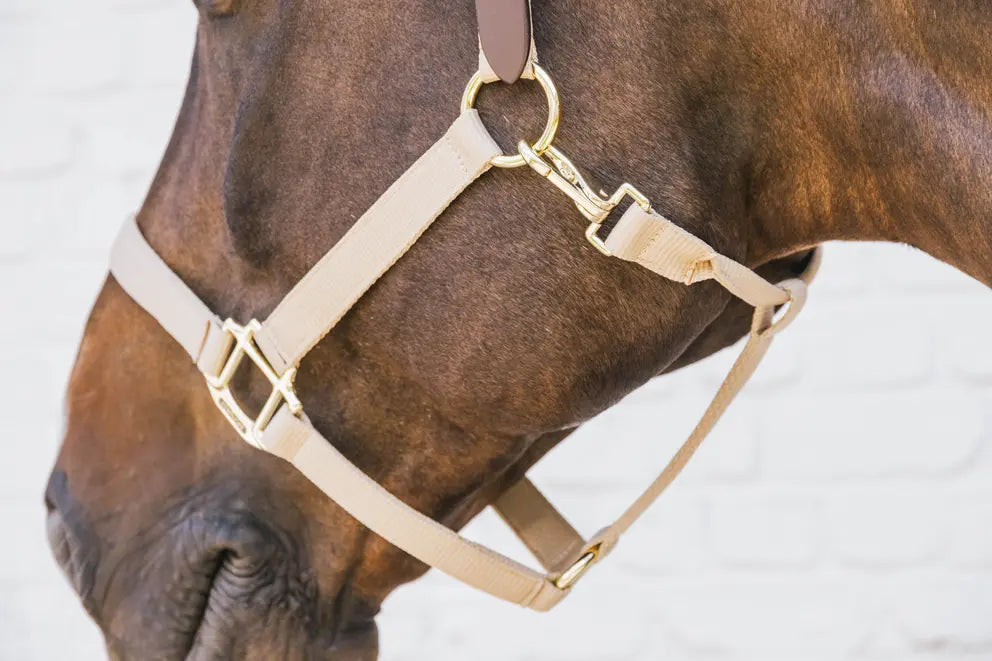 Nylon Halter Breakaway