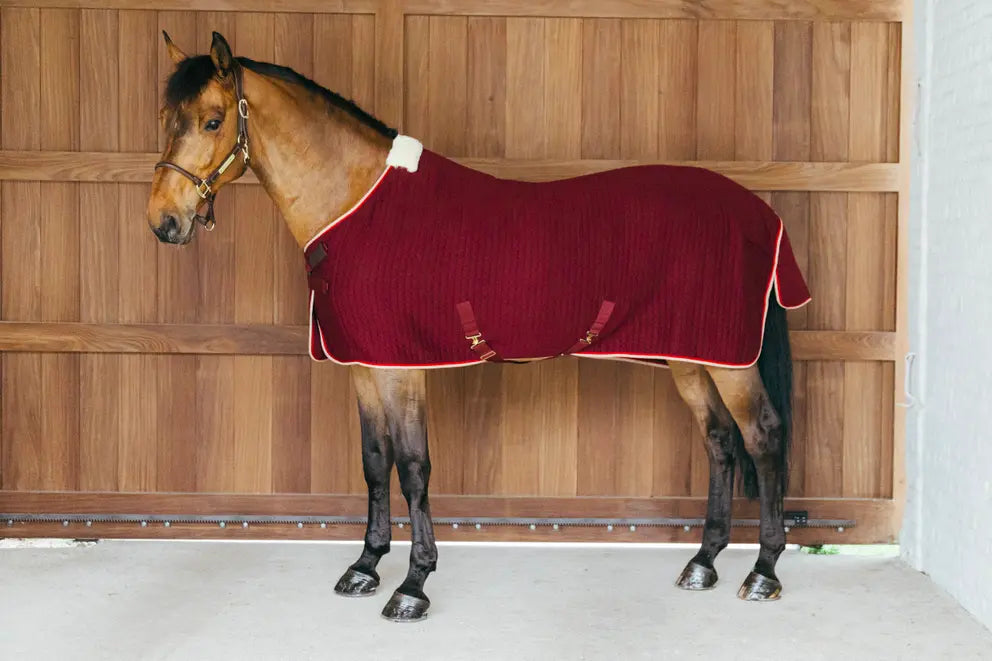 Cooler Rug PROtherm