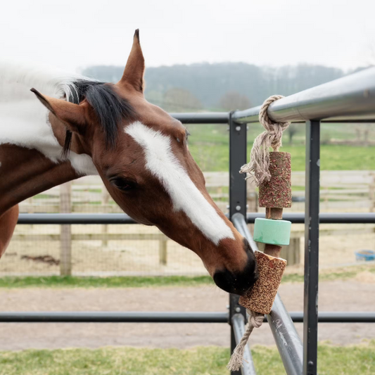 Wooden Relax Horse Toy with Salt Lick