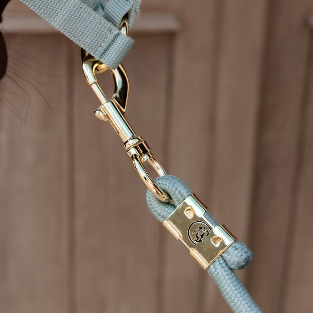 Basics Lead Rope