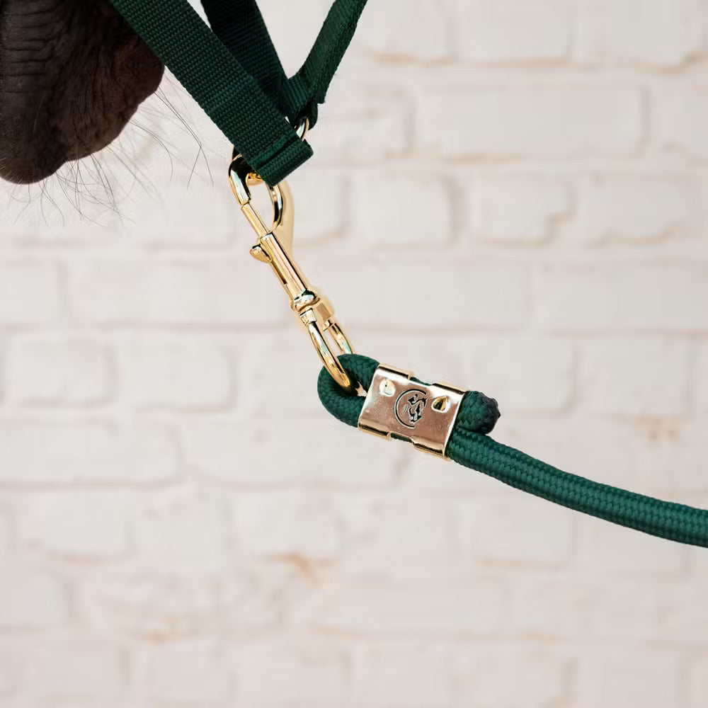 Basics Lead Rope