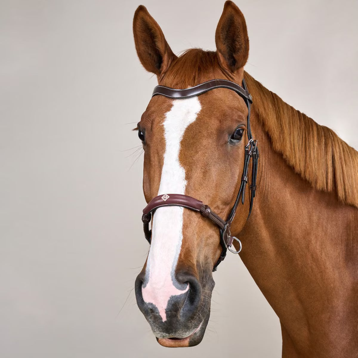 Bitless Bridle WO