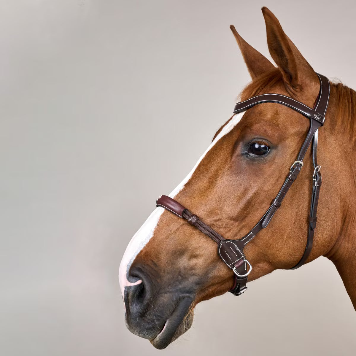Bitless Bridle WO