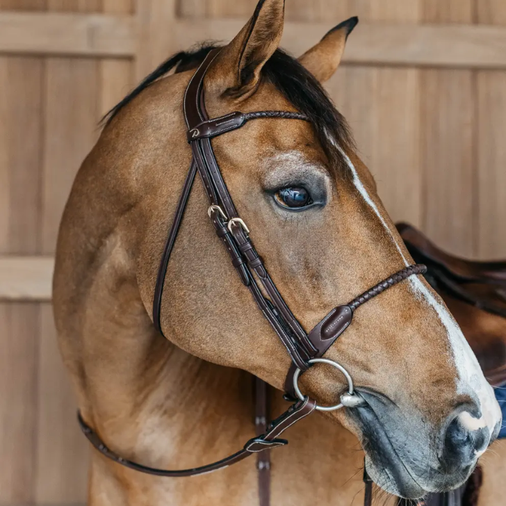 Braided Flash Noseband Bridle | D COLLECTION β LouRi & Co.