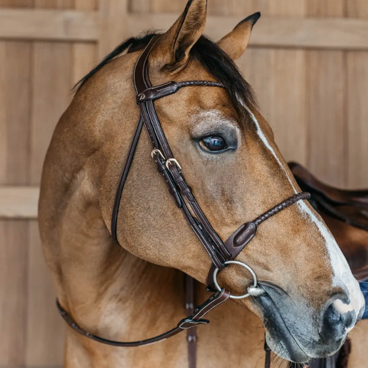 Braided Flash Noseband Bridle | D COLLECTION