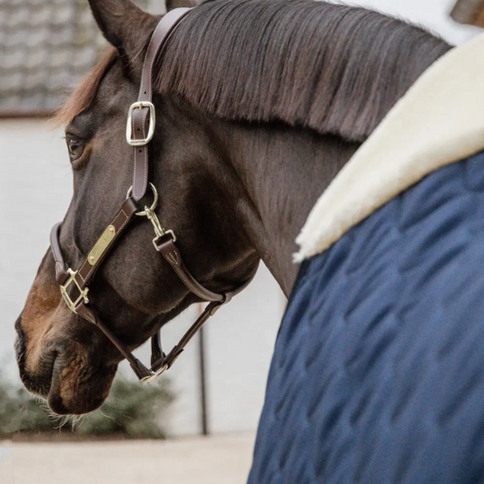 Stable Rug Comfort