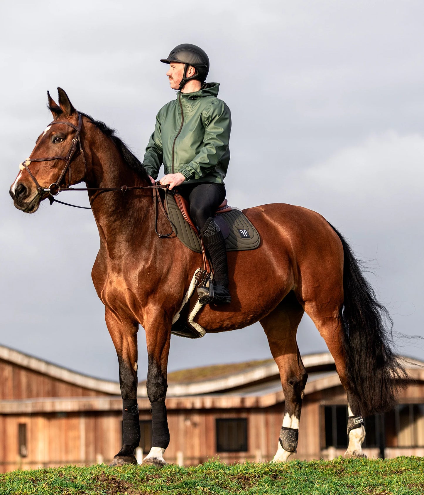 ERGONOMIC - Saddle pad