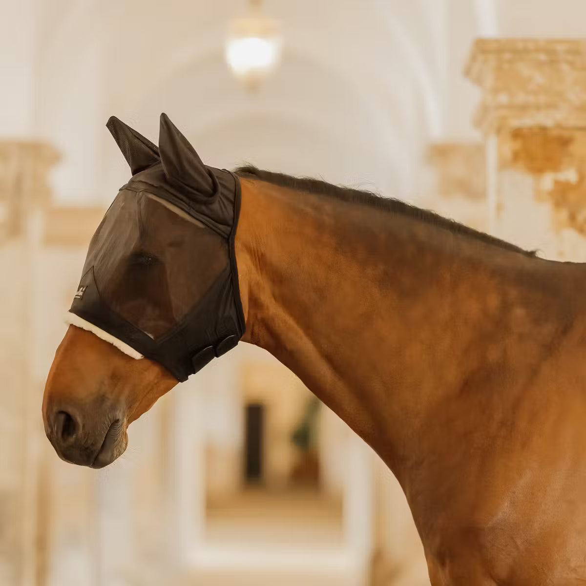 Fly Mask Skin Friendly with ears