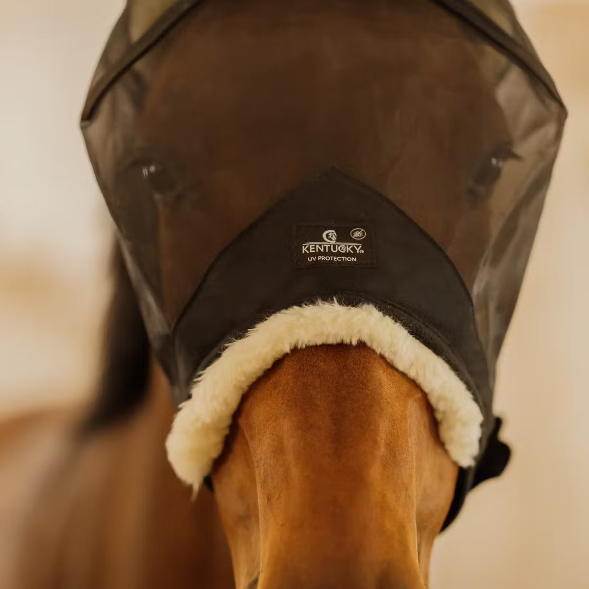 Fly Mask Skin Friendly with ears
