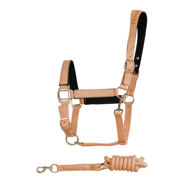 HANSY - Licol et Longe