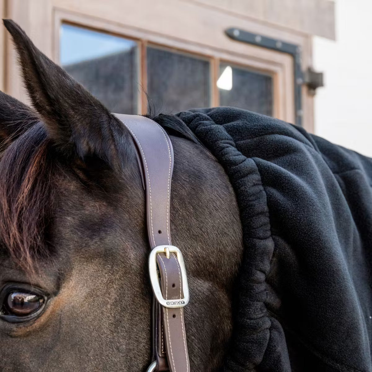 Foulard pour cheval Heavy Fleece | Noir