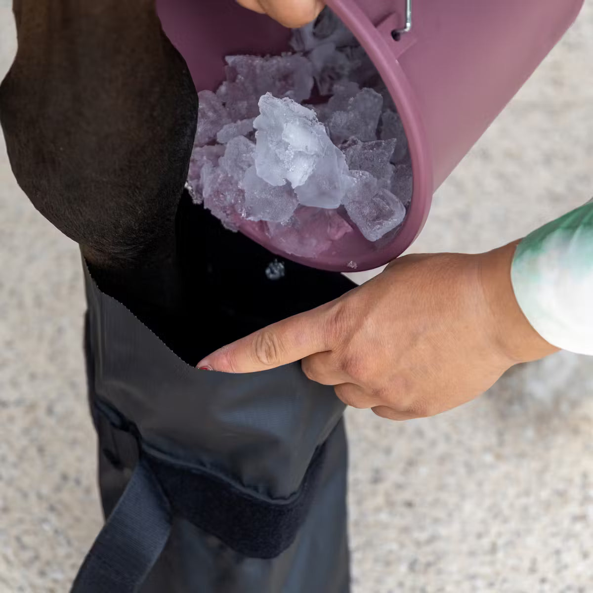 Hoof Boots Medical & Ice Boots Set of 2