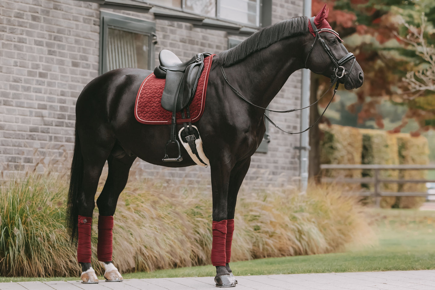 Velvet Polar fleece bandages | Bordeaux