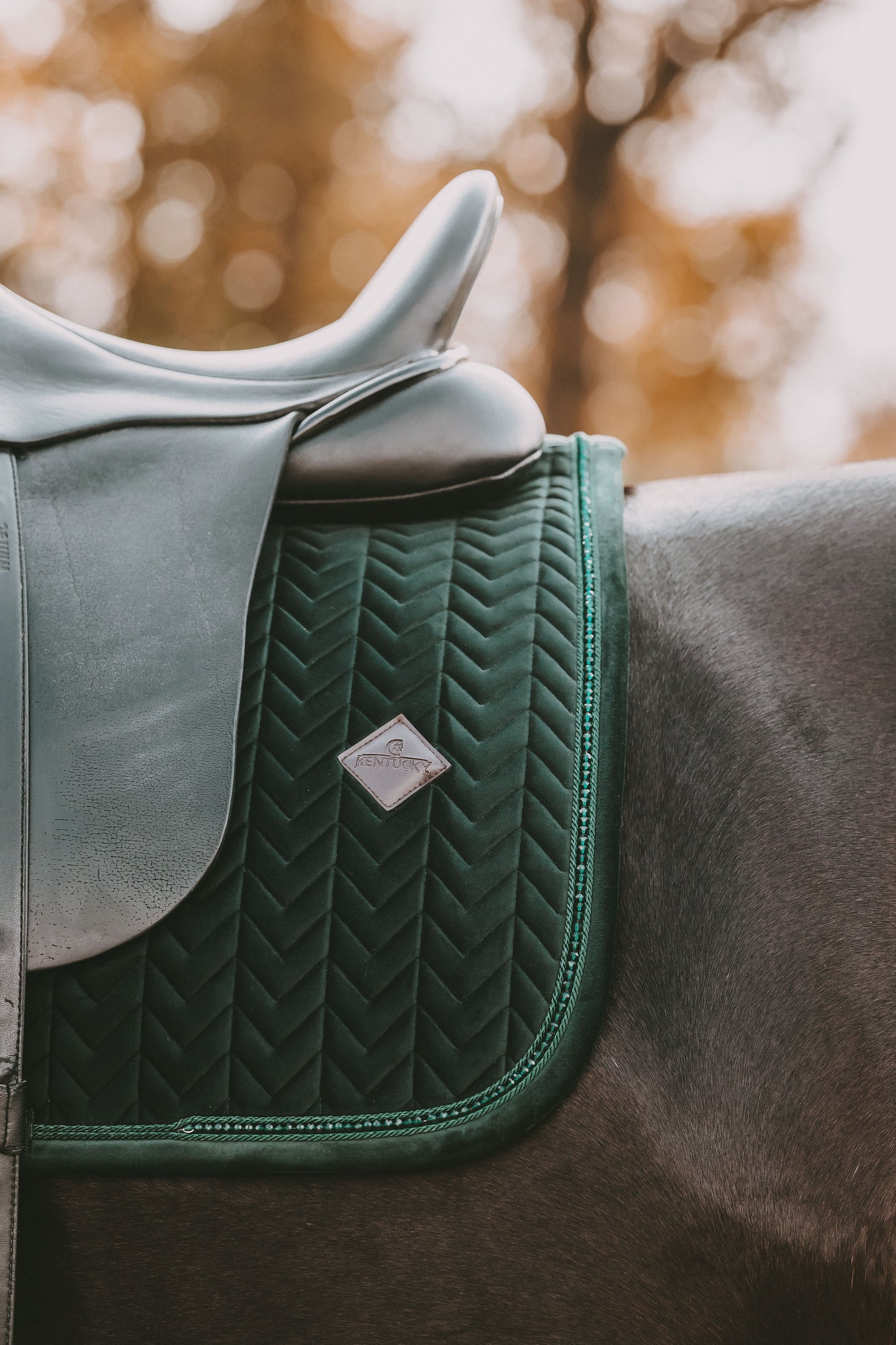 Velvet PEARLS Dressage Saddle Pad | Pine Green