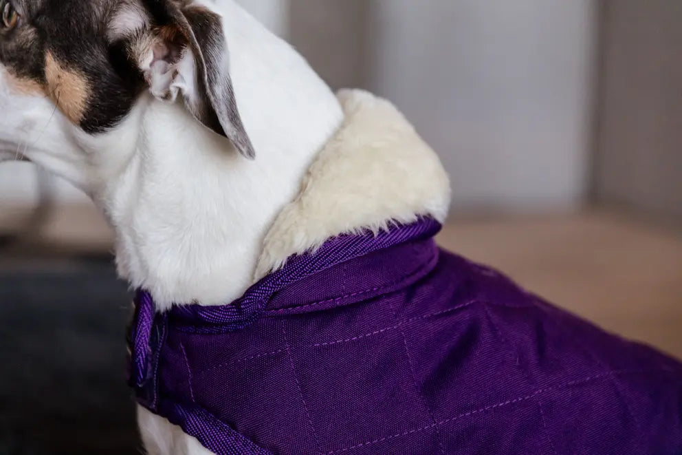 NEW! Dog Coat Original | Royal Purple