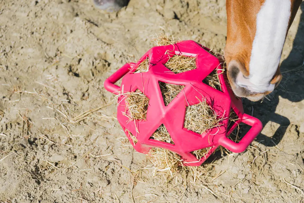 Relax Horse Play & Hay Ball