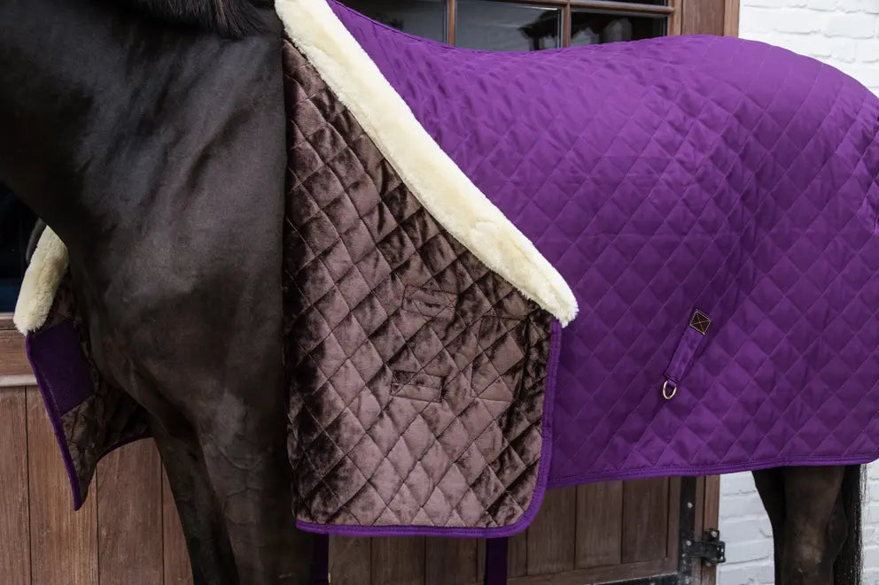 NEW! Show Rug 160g | Royal Purple