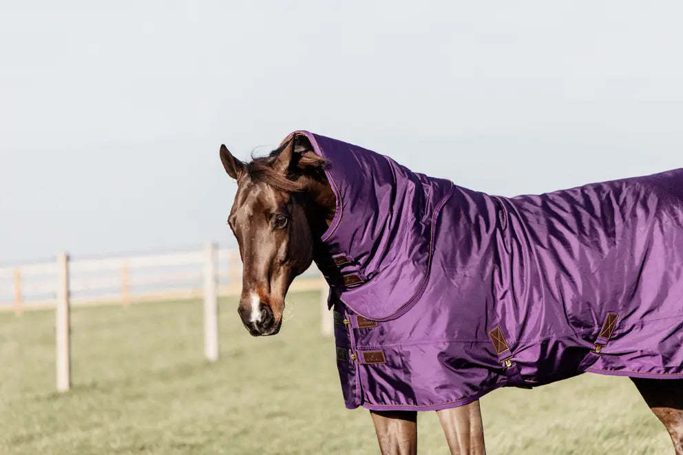 NEW! Turnout Rug All Weather Waterproof Pro 160g | Royal Purple