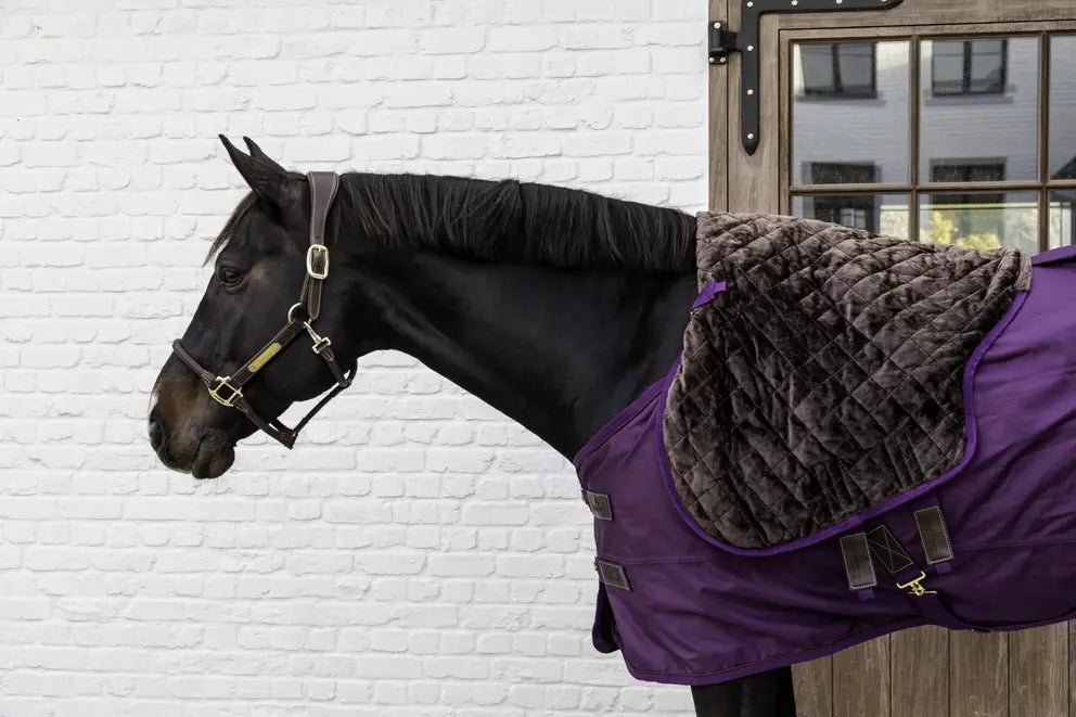 NEW! Turnout Rug All Weather Waterproof Pro 160g | Royal Purple