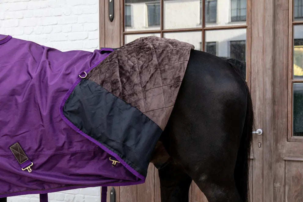 NEW! Turnout Rug All Weather Waterproof Pro 160g | Royal Purple