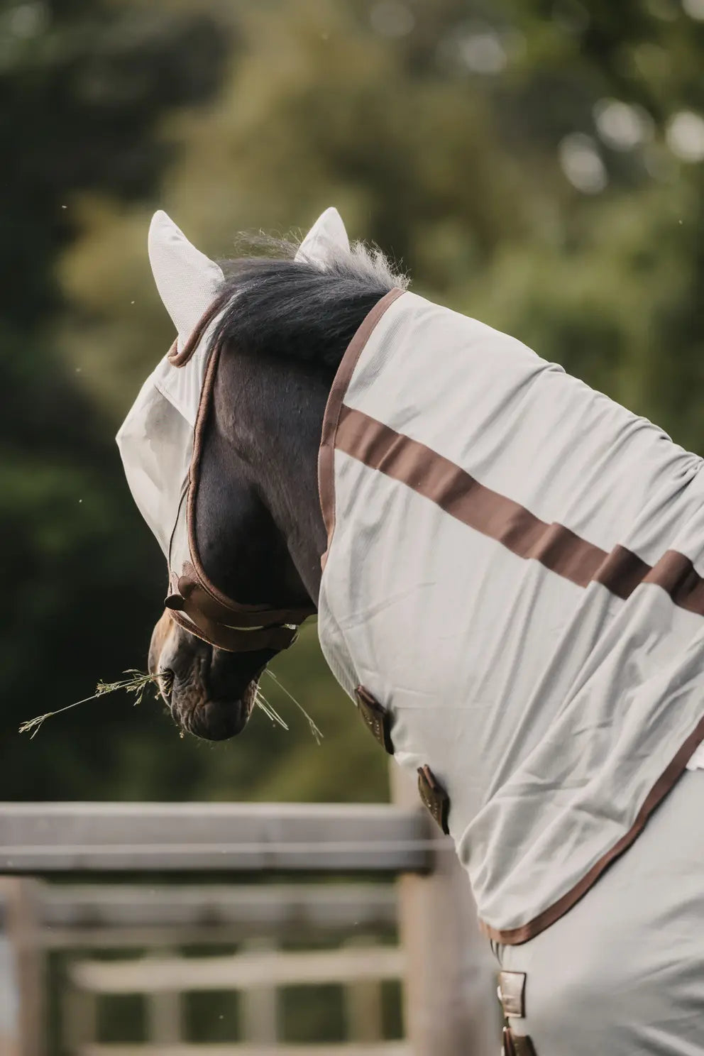 Mesh Fly Rug Classic