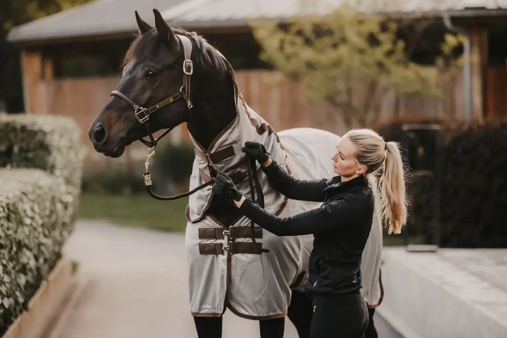 Mesh Fly Rug Classic