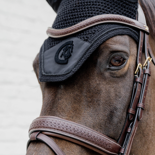 Plaited Flash Noseband Bridle with Pull back | D COLLECTION