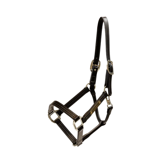 NEW! Leather Halter Wellington