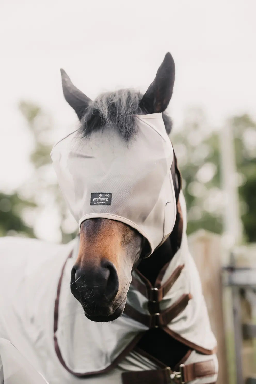 Fly Mask Classic without ears