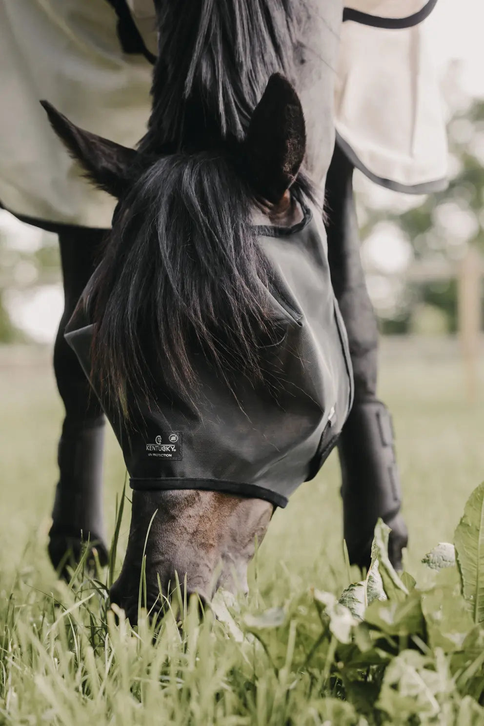 Fly Mask Classic without ears