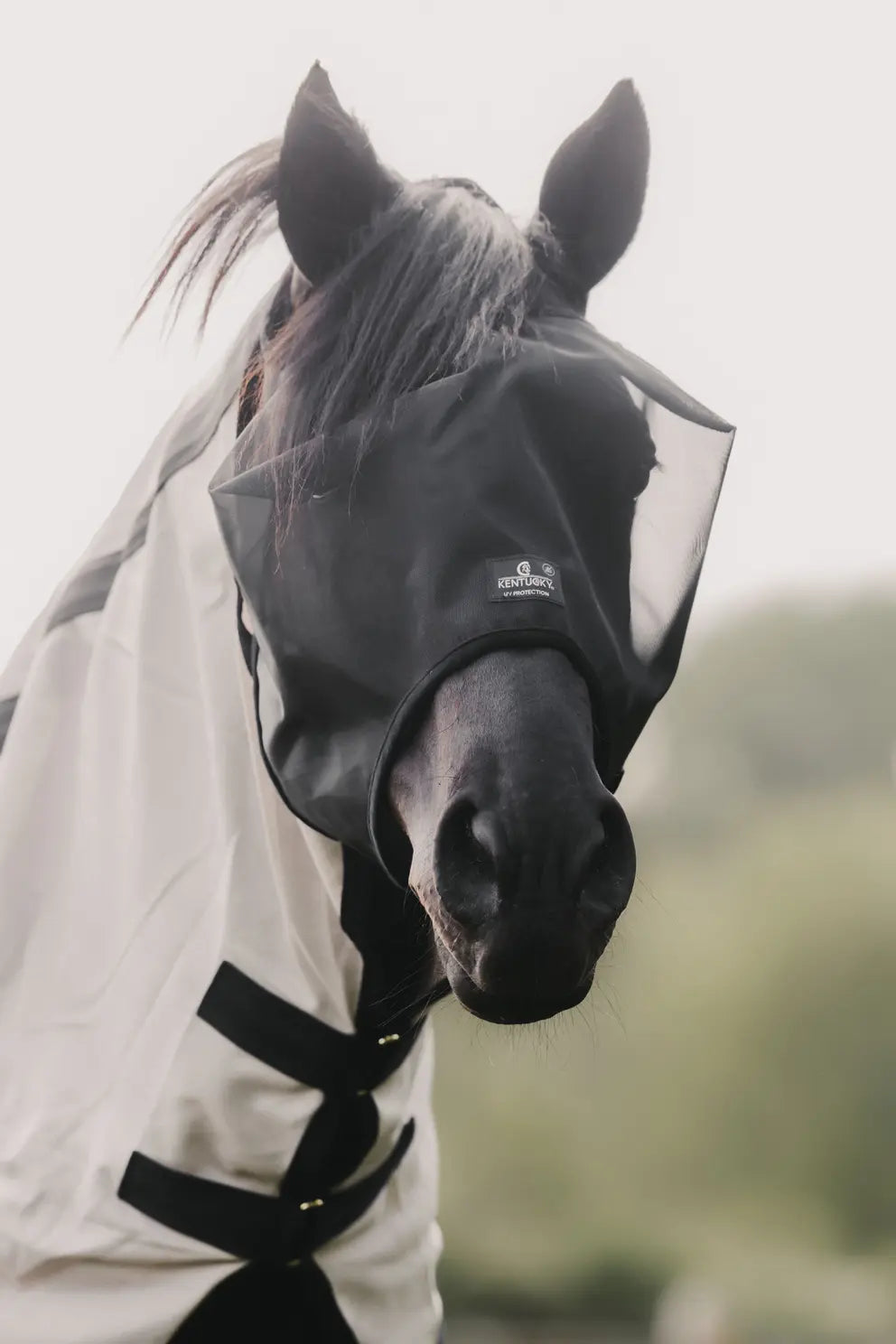 Fly Mask Classic without ears