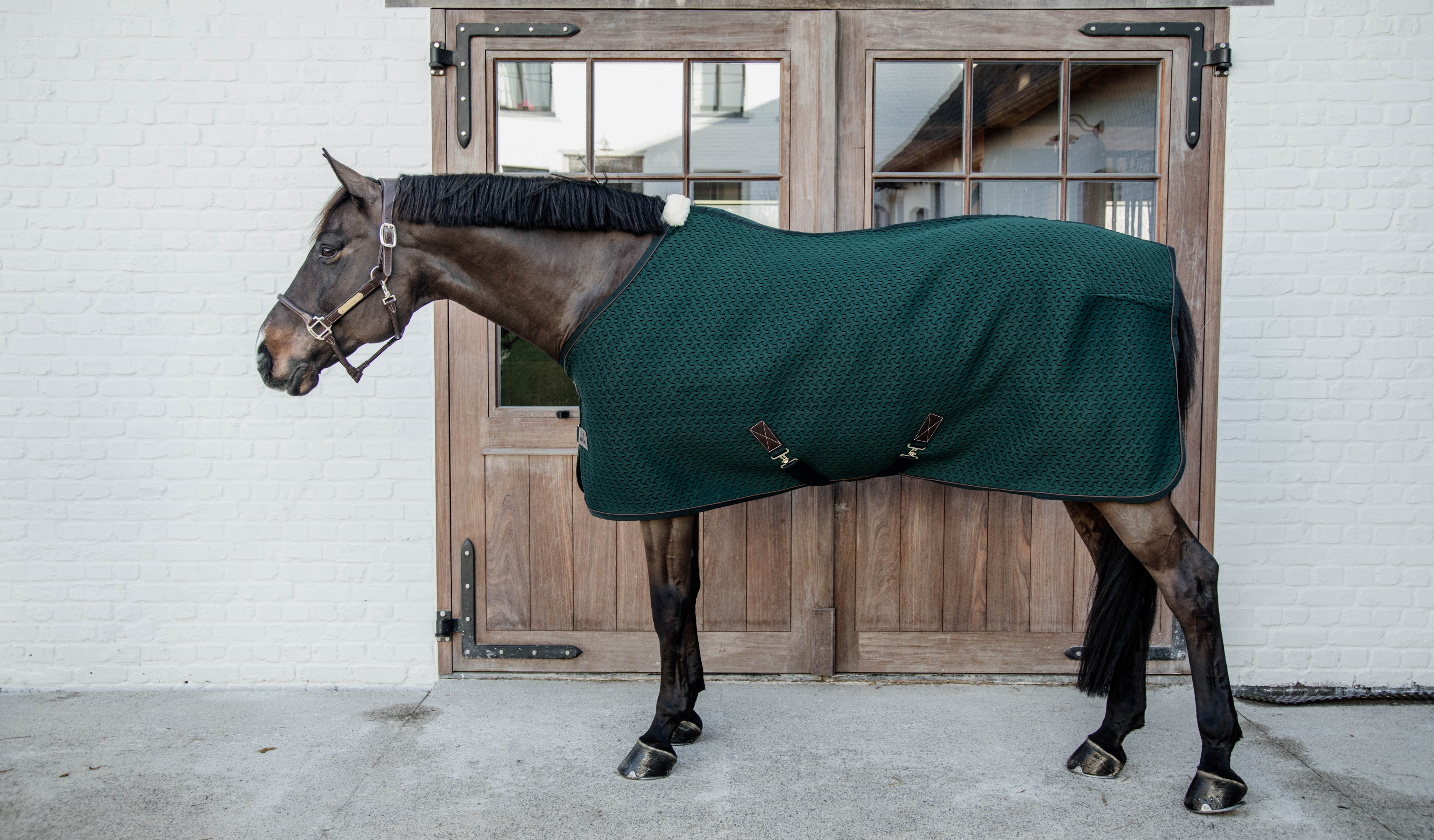 Kentucky NEW 4D Spacer Cooler Rug available for PREORDER