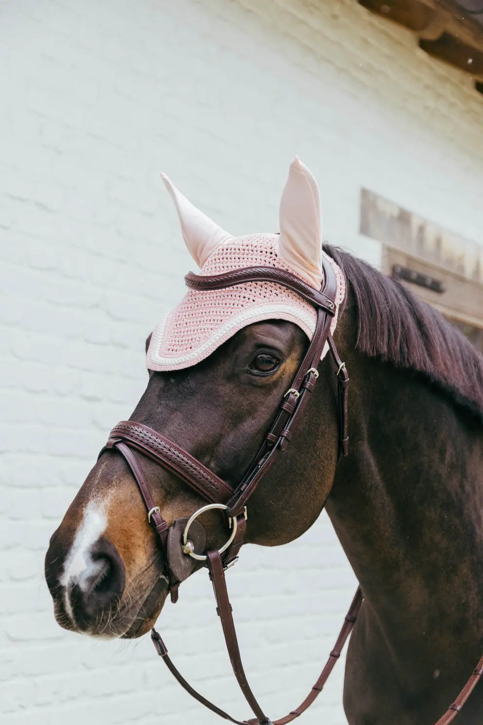 Fly Veil Wellington Plaited Cord | + Colors