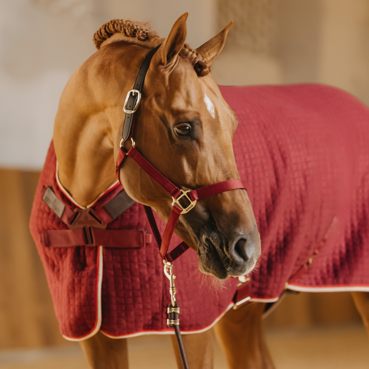 Cooler Rug PROtherm