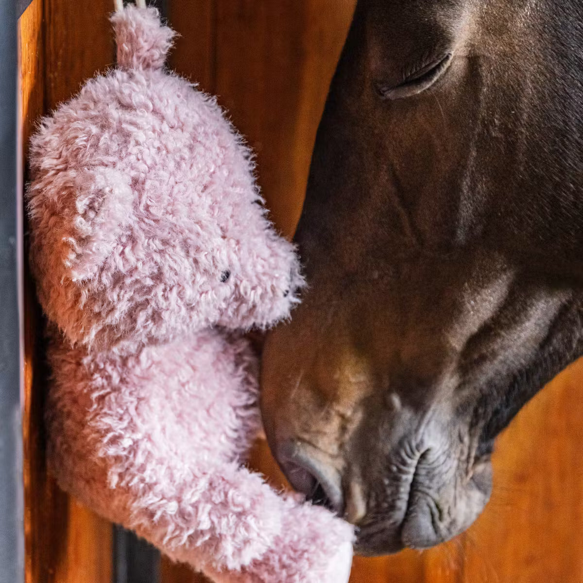 Relax Horse Toy Bear
